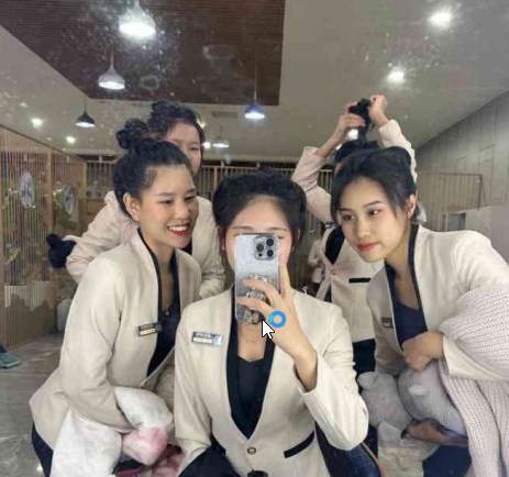 面向教育机构的人工智能协作